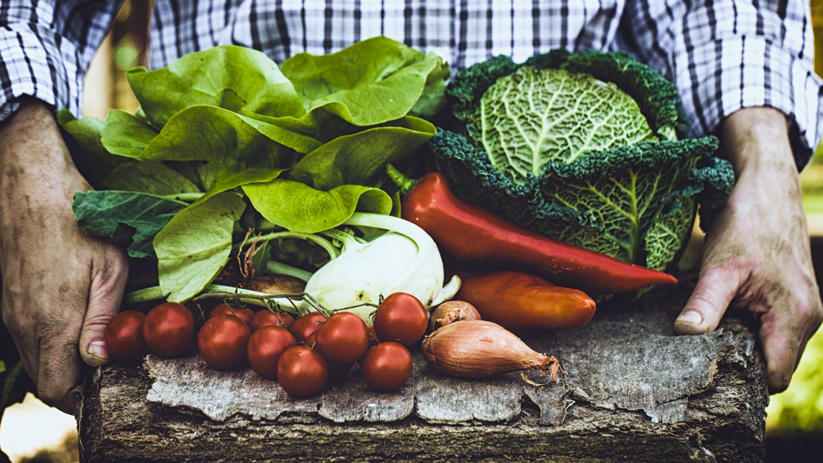 verduras huerta vistec